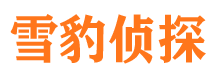 金家庄市侦探调查公司